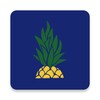 文案提取侠